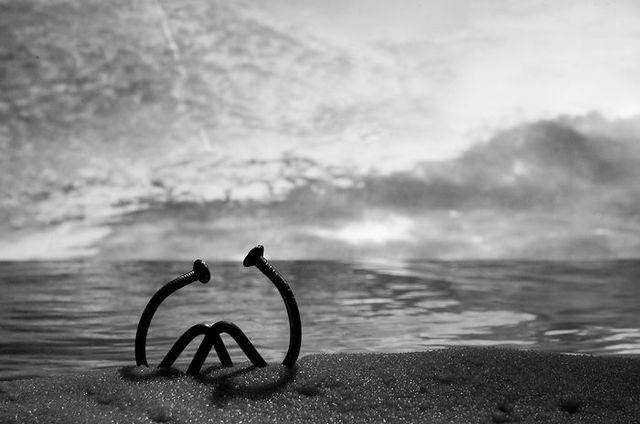 A nail’s Life